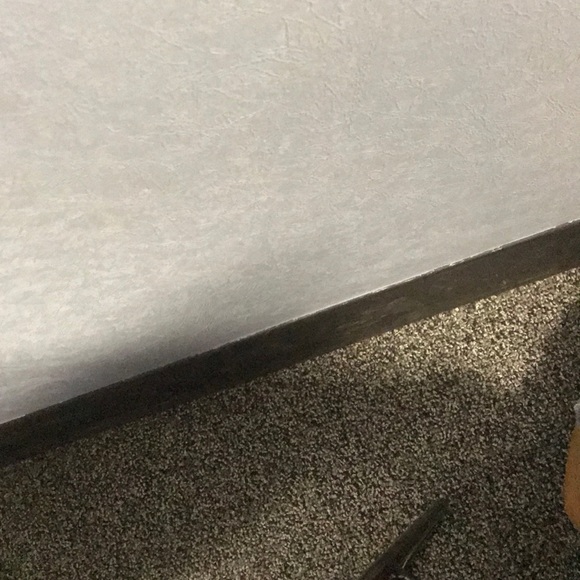 Meet your Posher, Mollie - Picture 1 of 1